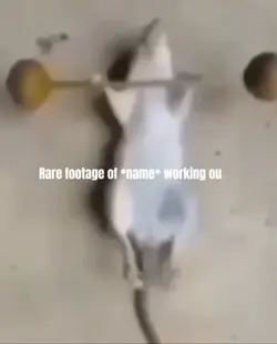 Rare footage of name