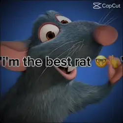 Best Rat 🤓