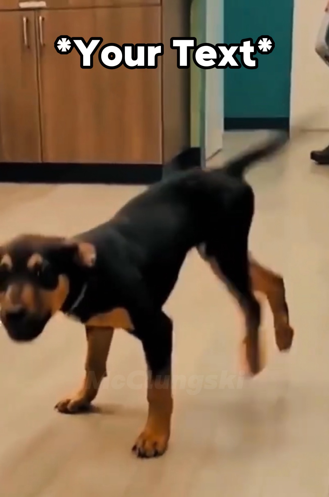 Glücklicher Hund Meme