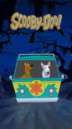 Scooby Doo Drive