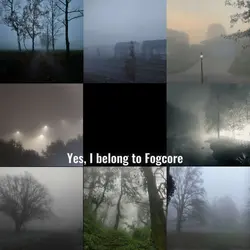 Fogcore