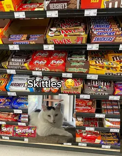 sKiTtLeS
