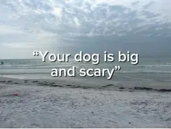 Scary Dog