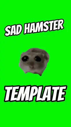Sad Hamster 