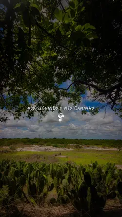 Vou seguindo... 