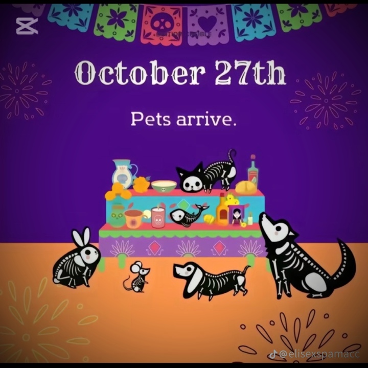 27 de octubre 