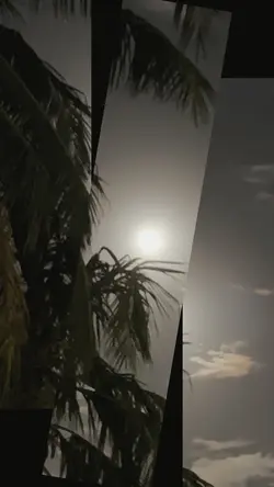 Split 15Photos Miami