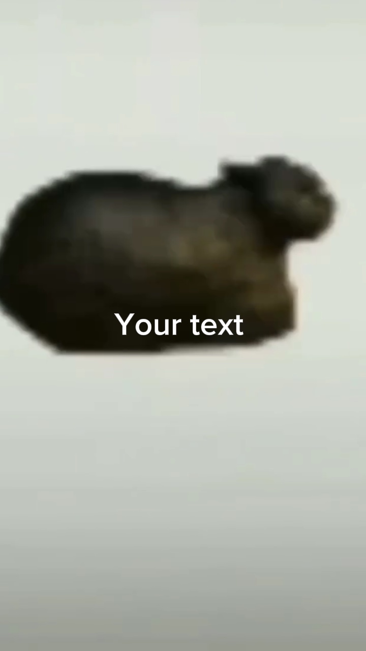 오하하 하 하 하 하 하 하 하 하 하 하 하 하 하 하 하 하 하 하 하 하 하 하 하 하 하 하 하 하 하