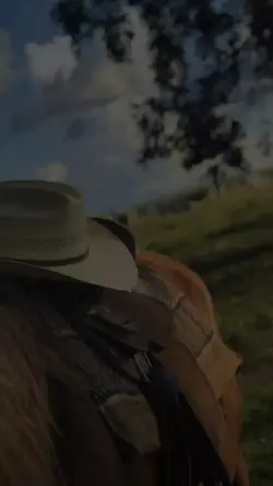 é disto que o velho.