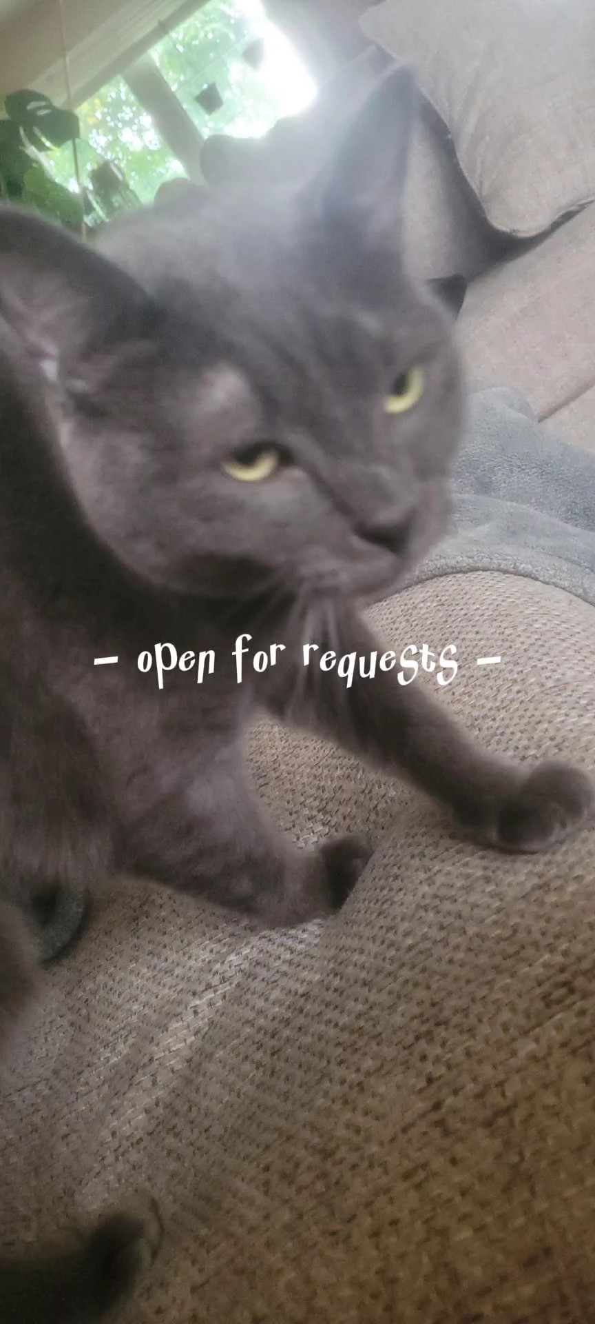 now open for request