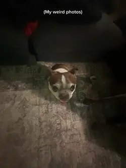 🤡