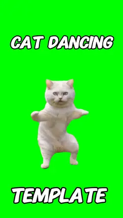 Cat dancing meme 
