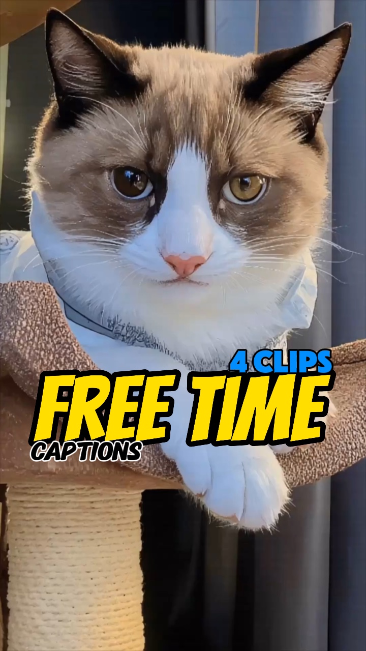 Free time? 😸😽