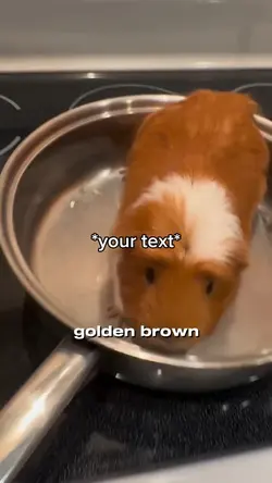 Cook guinea pig