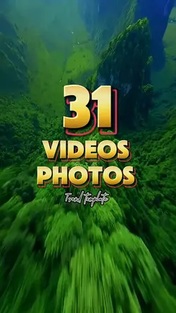 31 videos or photos 
