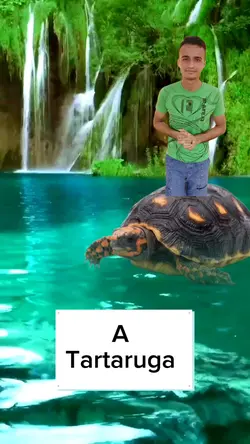 A Tartaruga 