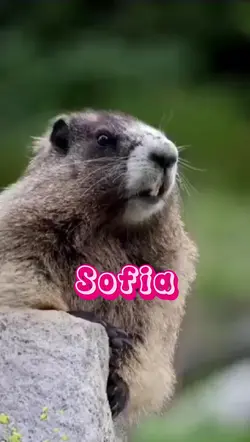 MANDE PRA SOFIA..