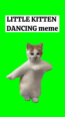 LITTLE KITTEN DANCIN