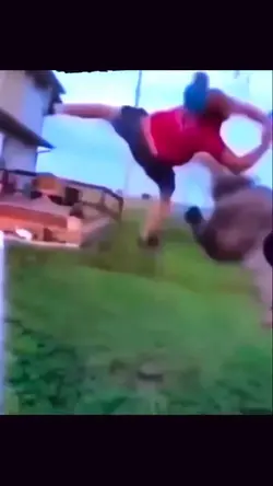 Horse Kick Flip 