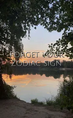 Forget Zodiacs | MHA