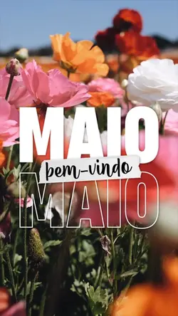 Bem-vindo Maio