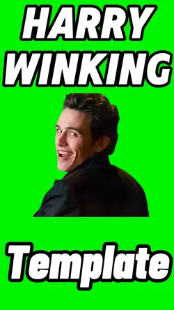 Harry Winking