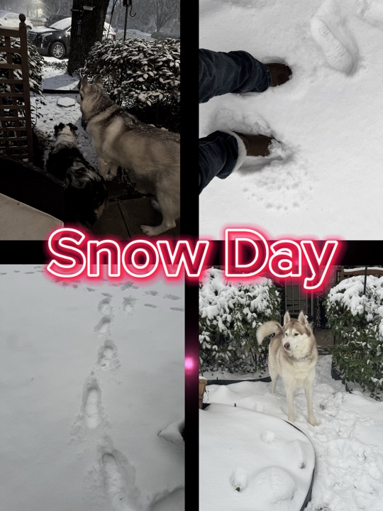Jour de neige