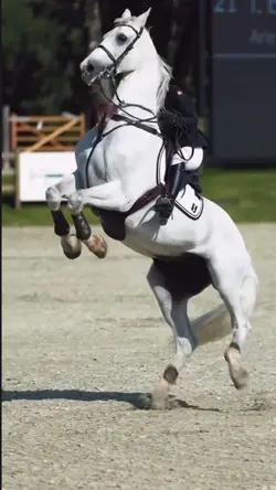 Fire ball ☄️NOT REAL‼️