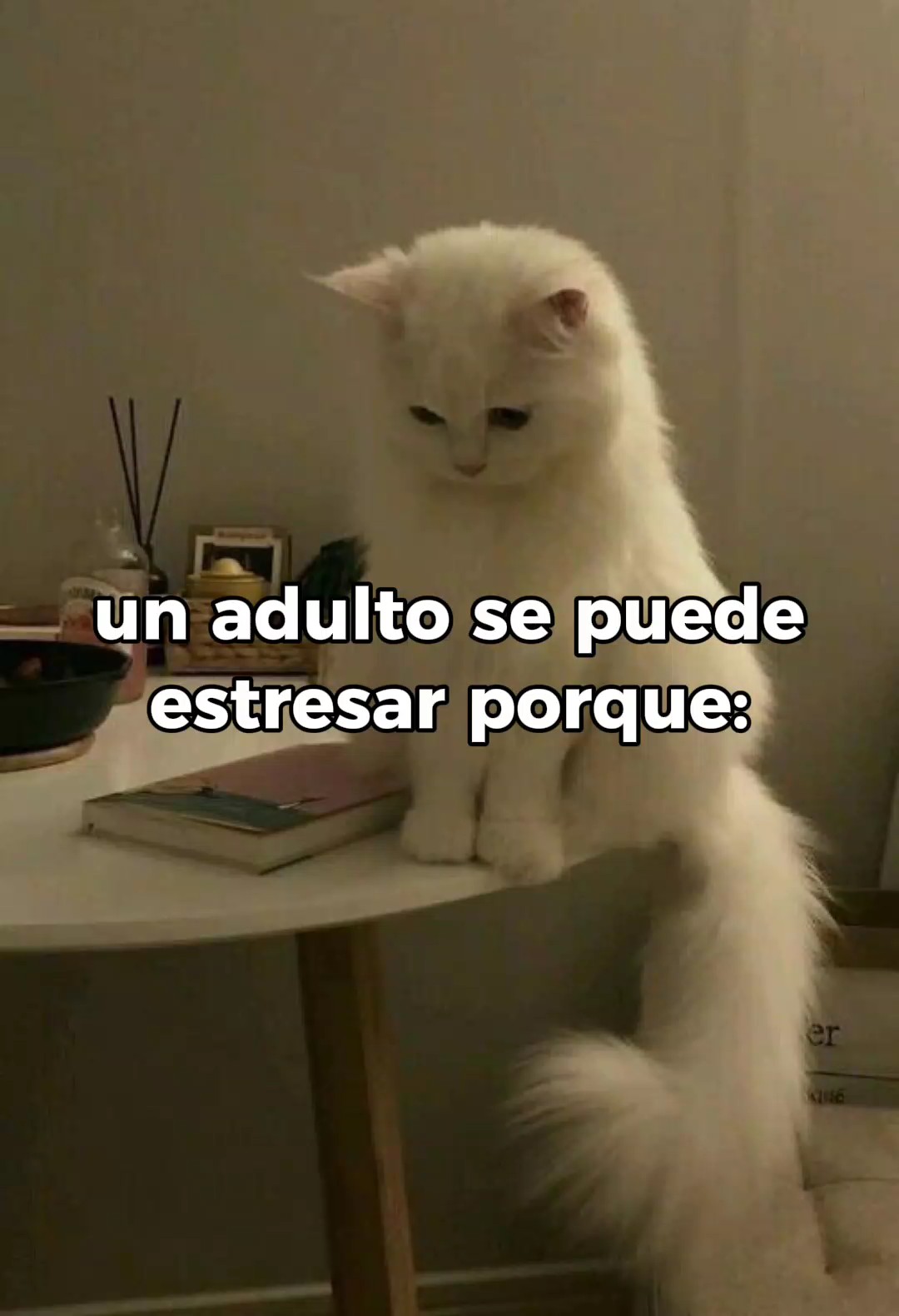 alguna vez les han