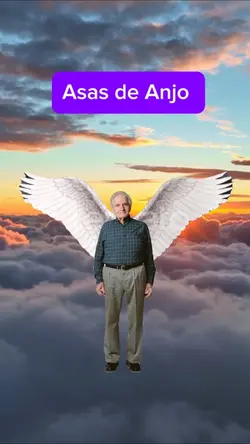 Assas de anjo