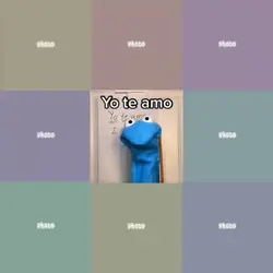 YO TE AMO