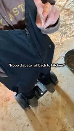 Momma may I have coo