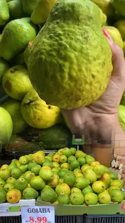 Hortifruti 