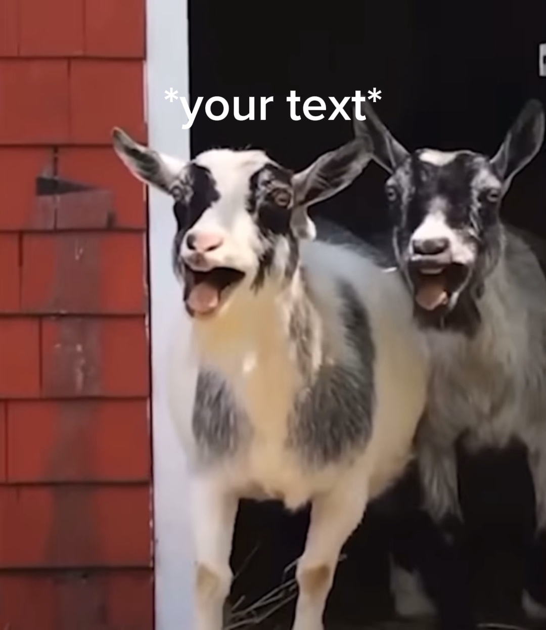 Seu meme de texto
