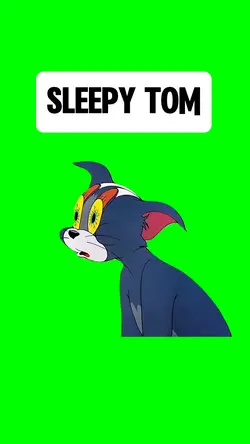 SLEEPY TOM