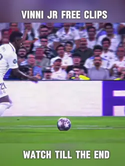 Vinny jr free clips