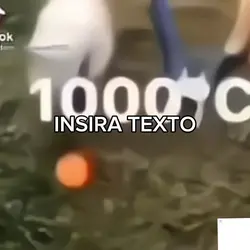 fundooo