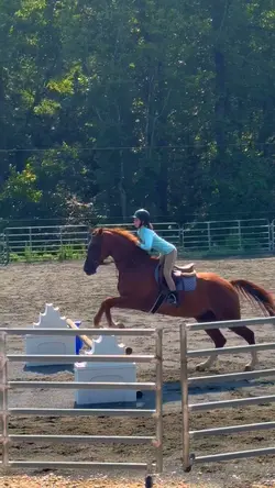 trot jump 😍