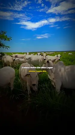 Perdido nas esquinas