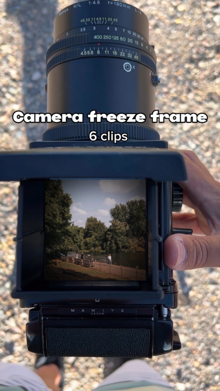 Camera freeze frame