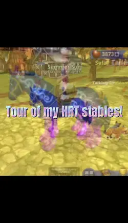 All my horses!