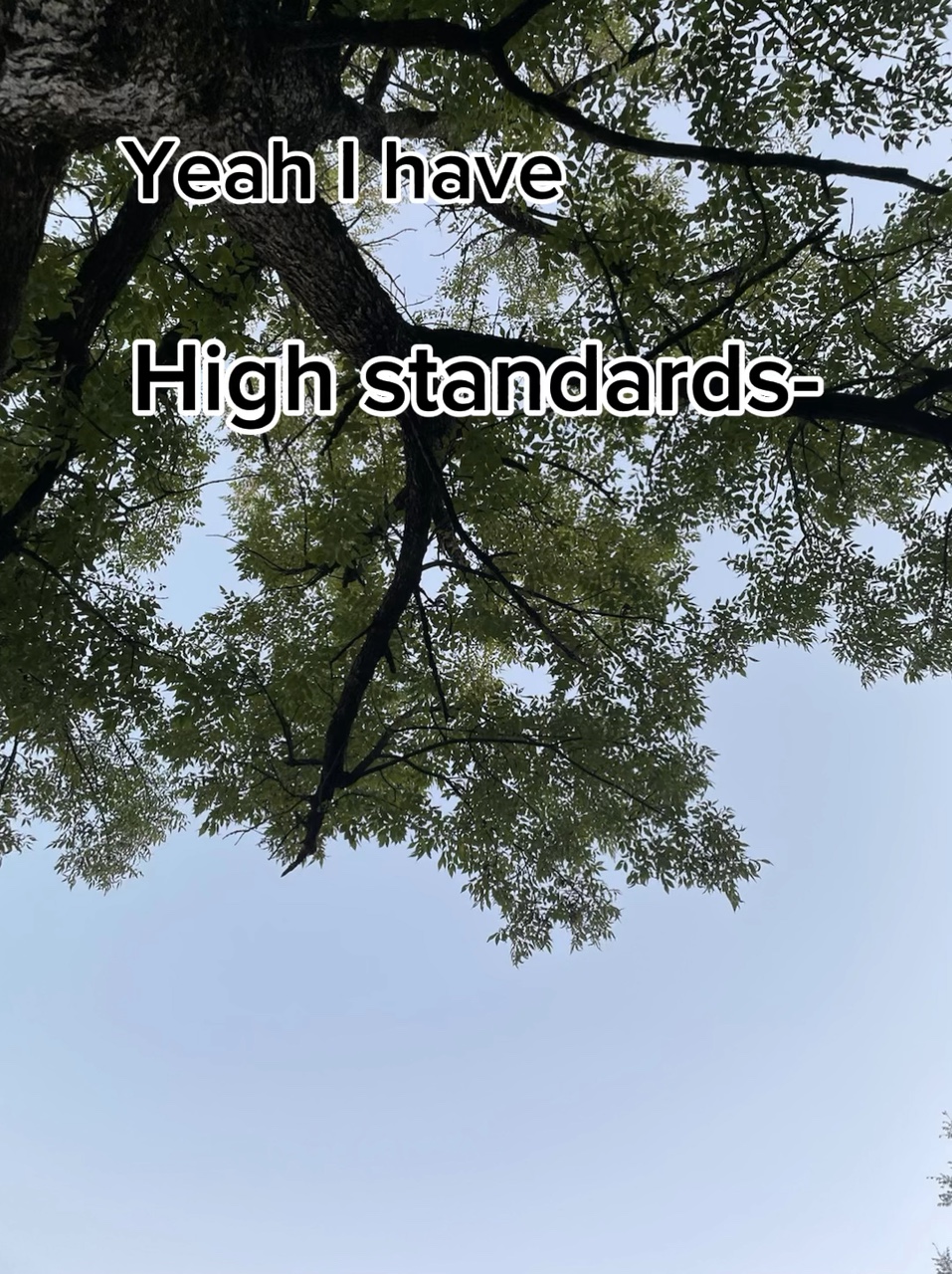 High standards man