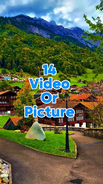 14 video or picture 