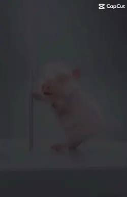 I dare u