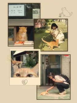 Cat lover
