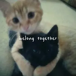 Belong Together