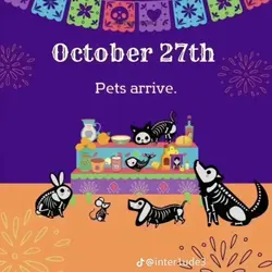 oct 27. ❤️‍🩹