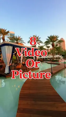 8 video or picture 