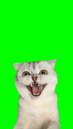Evil Laugh Cat 