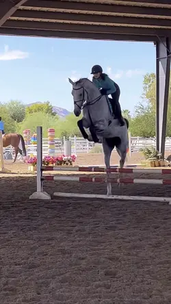 Horse jump slomo